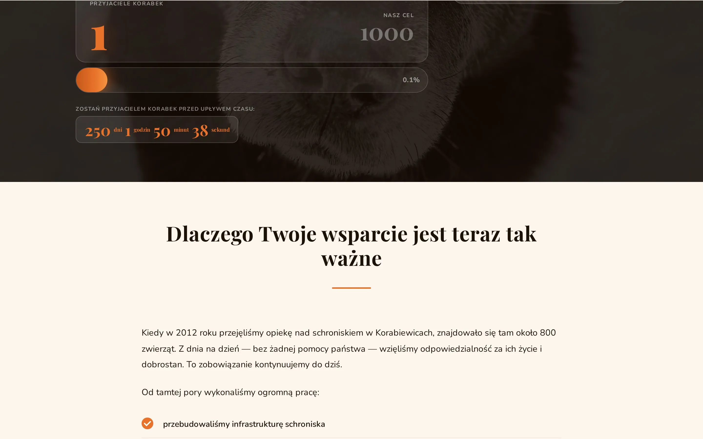 Live-licznik darczyńców 1/1000 i odliczanie czasu do końca roku