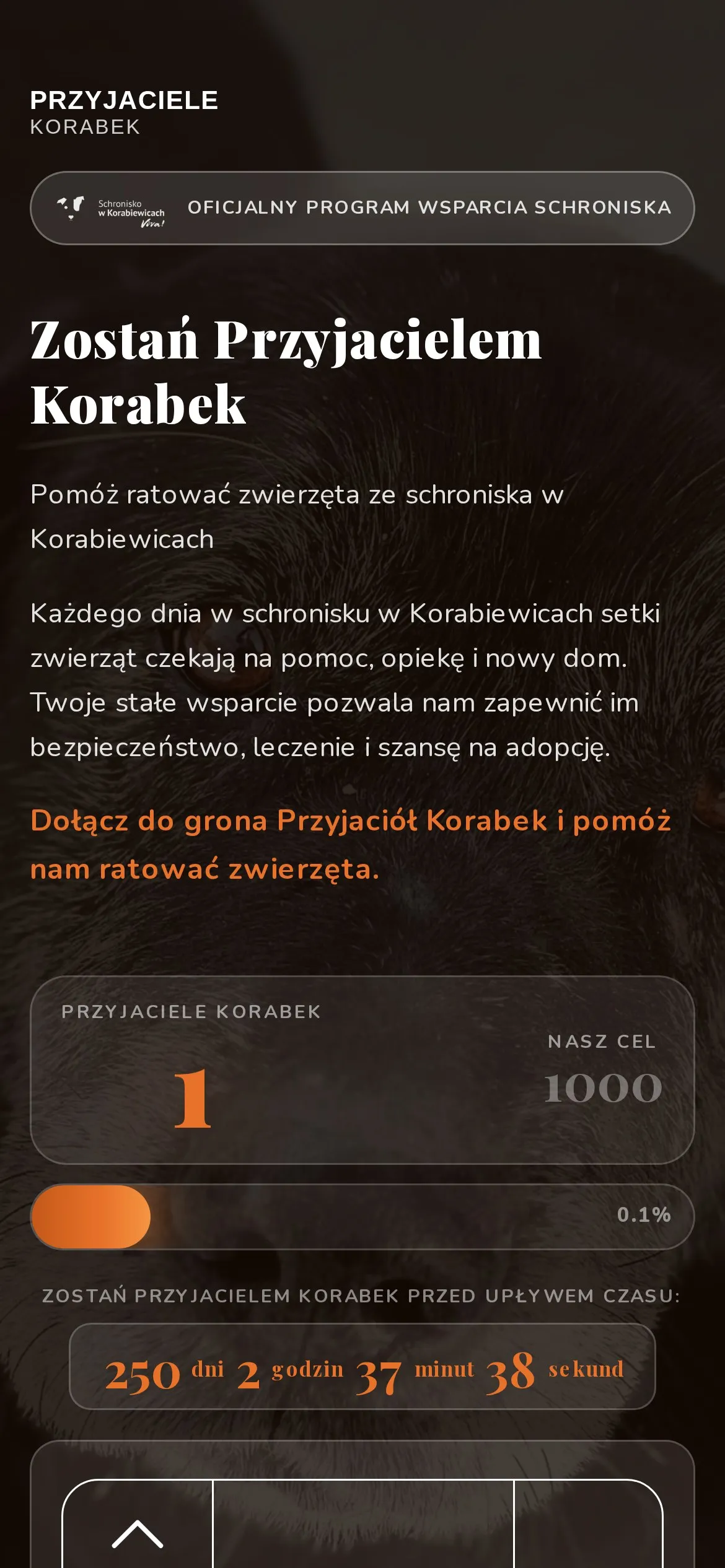 Landing Przyjaciele Korabek - widok mobilny: licznik 1/1000 i odliczanie do końca roku